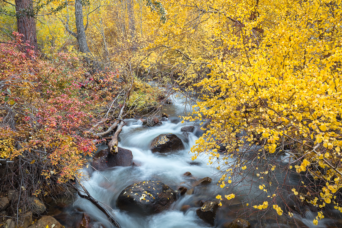Rock Creek - Late Autumn